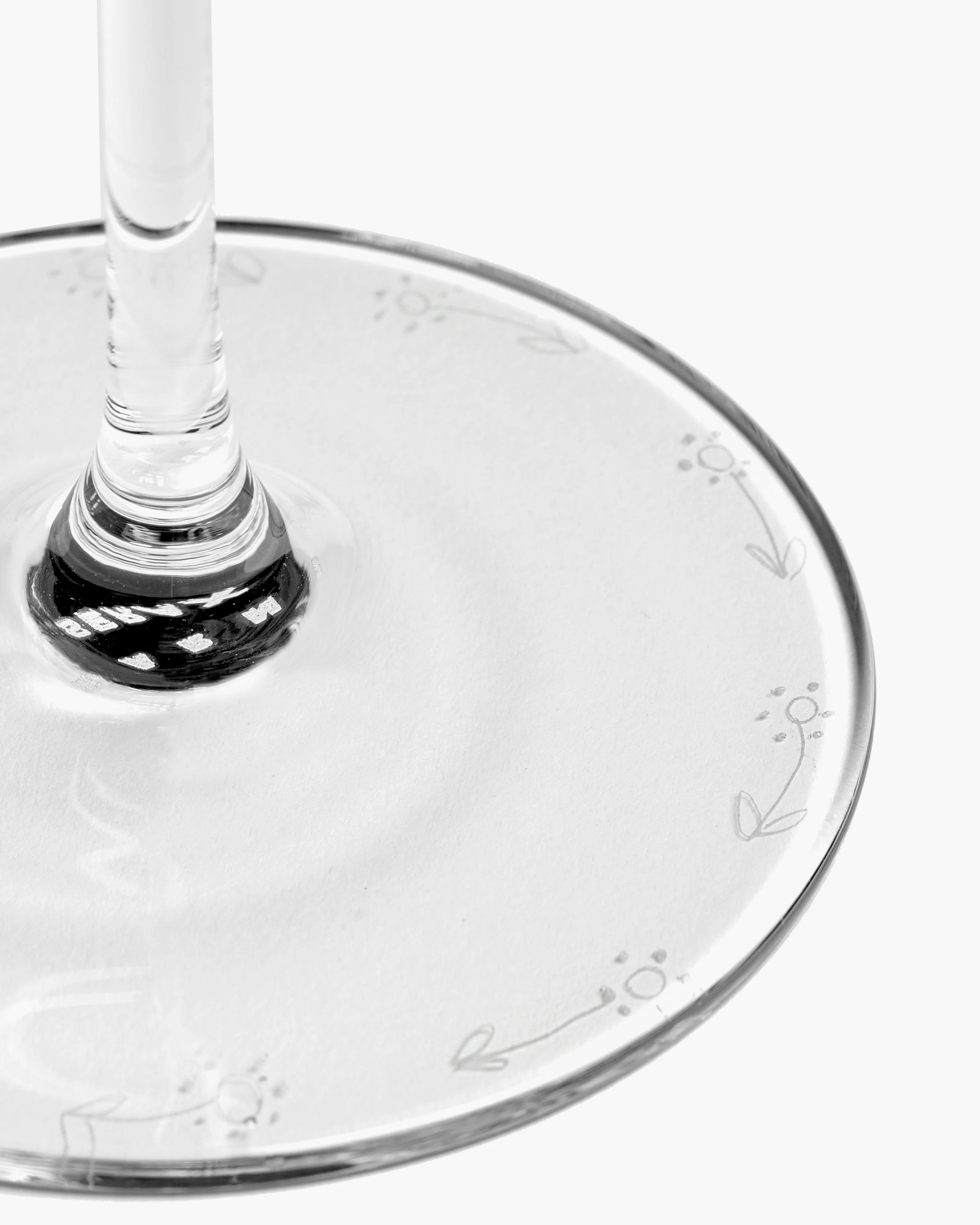 Champagne coupe anemone vaniglia Midnight Flowers