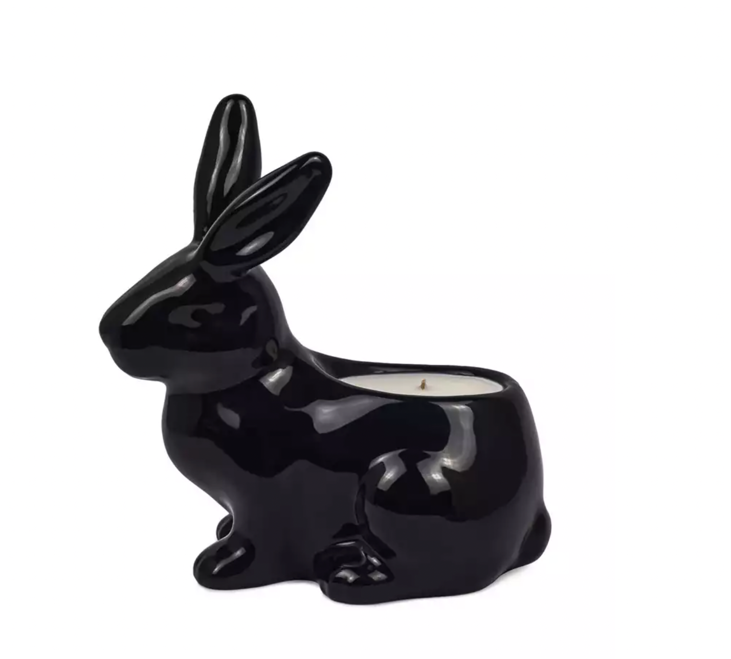 gunia project candle figure lecture vancouver