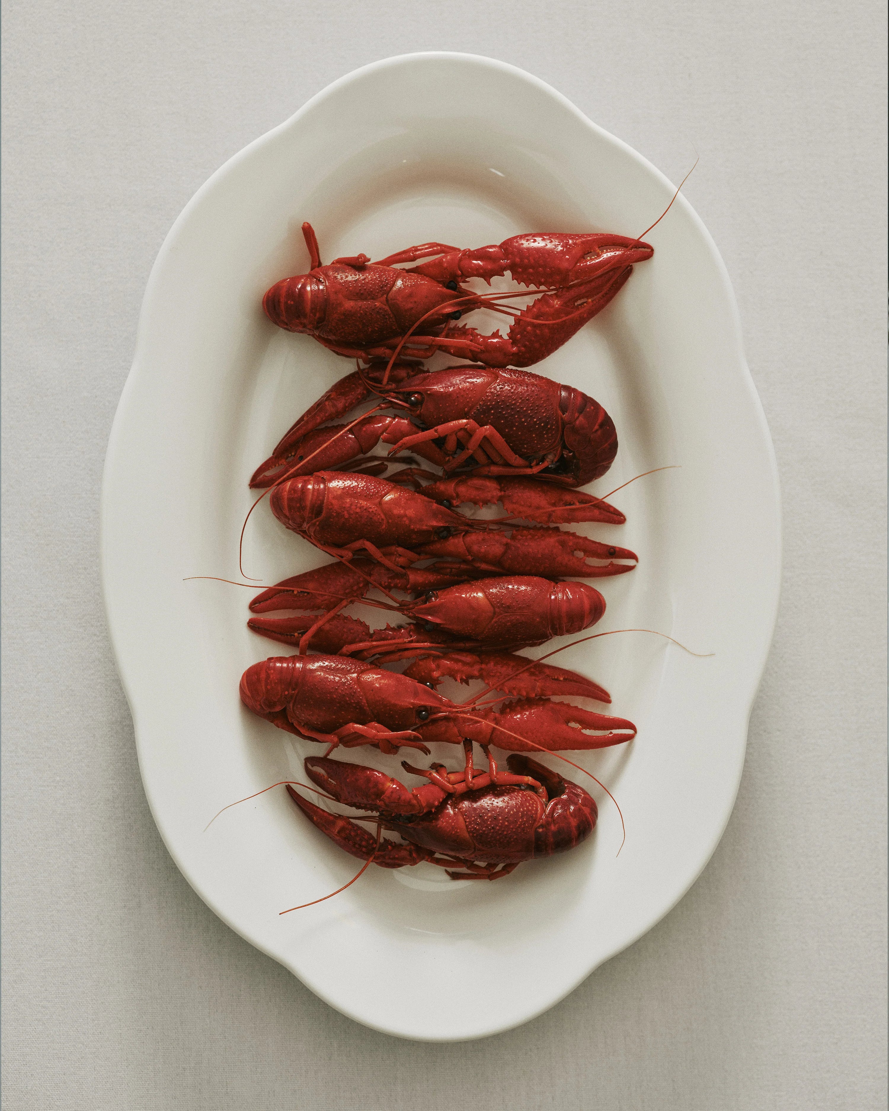 High Oval Plate M White Silhouette