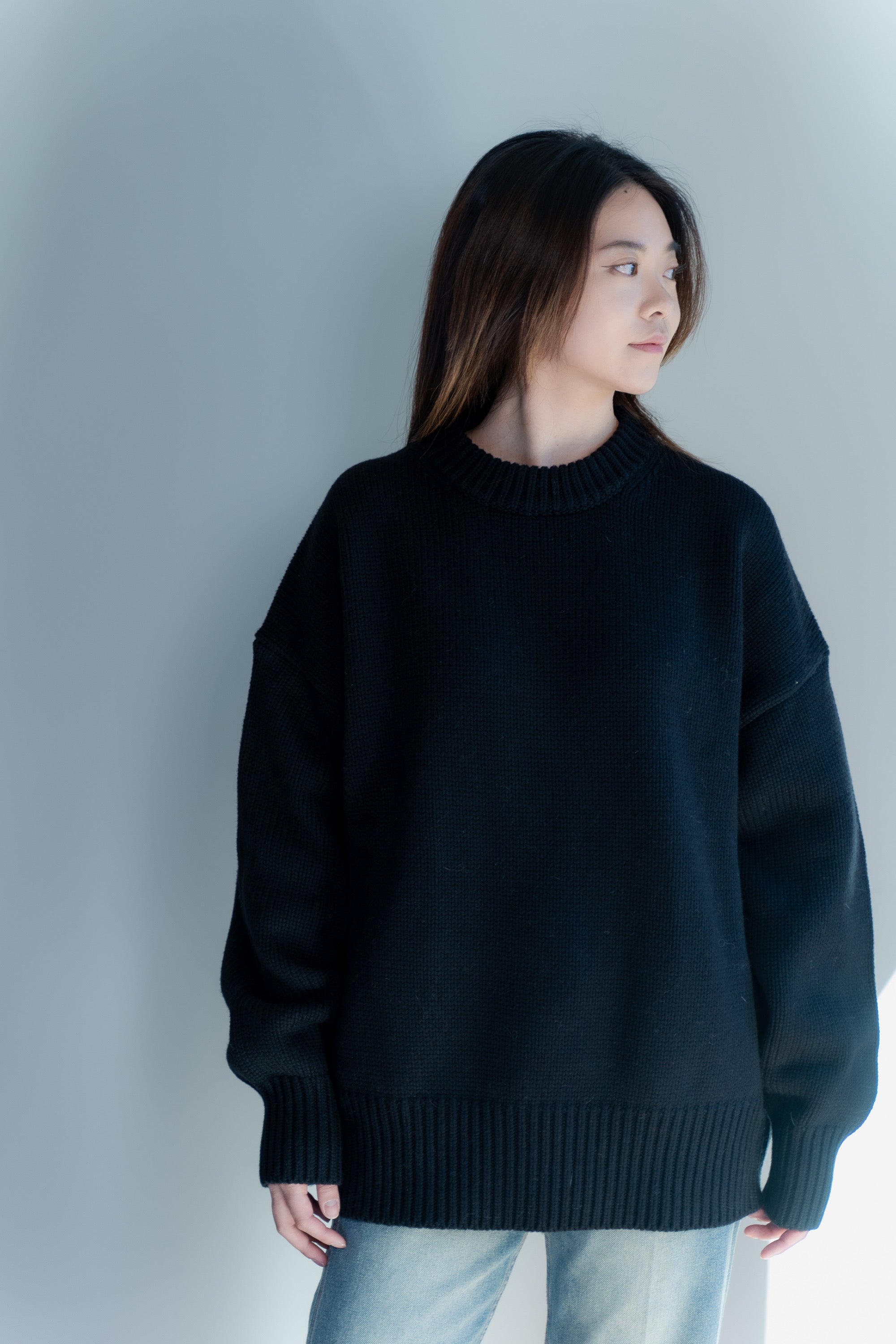 Figure Lecture | Comfy oversize sweater | Crewneck