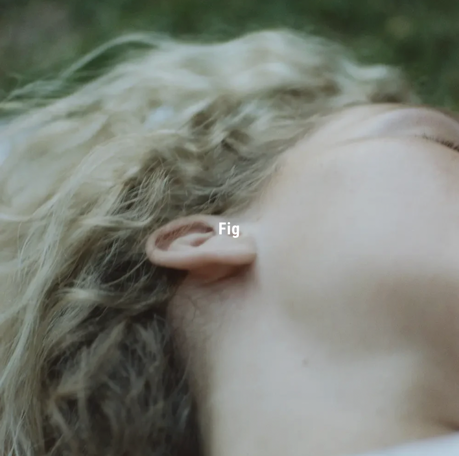 APFR - Incense Cone - Fig