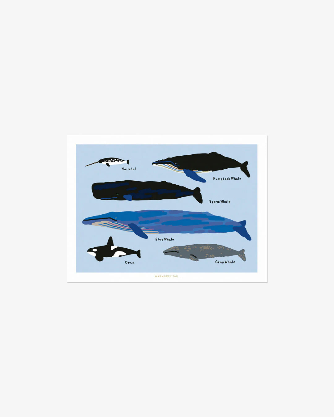 WHALES POSTCARD - Warmgrey Tail