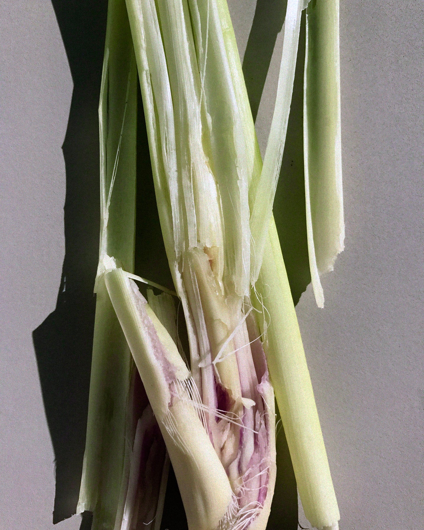 312 Body oil - Lemongrass
